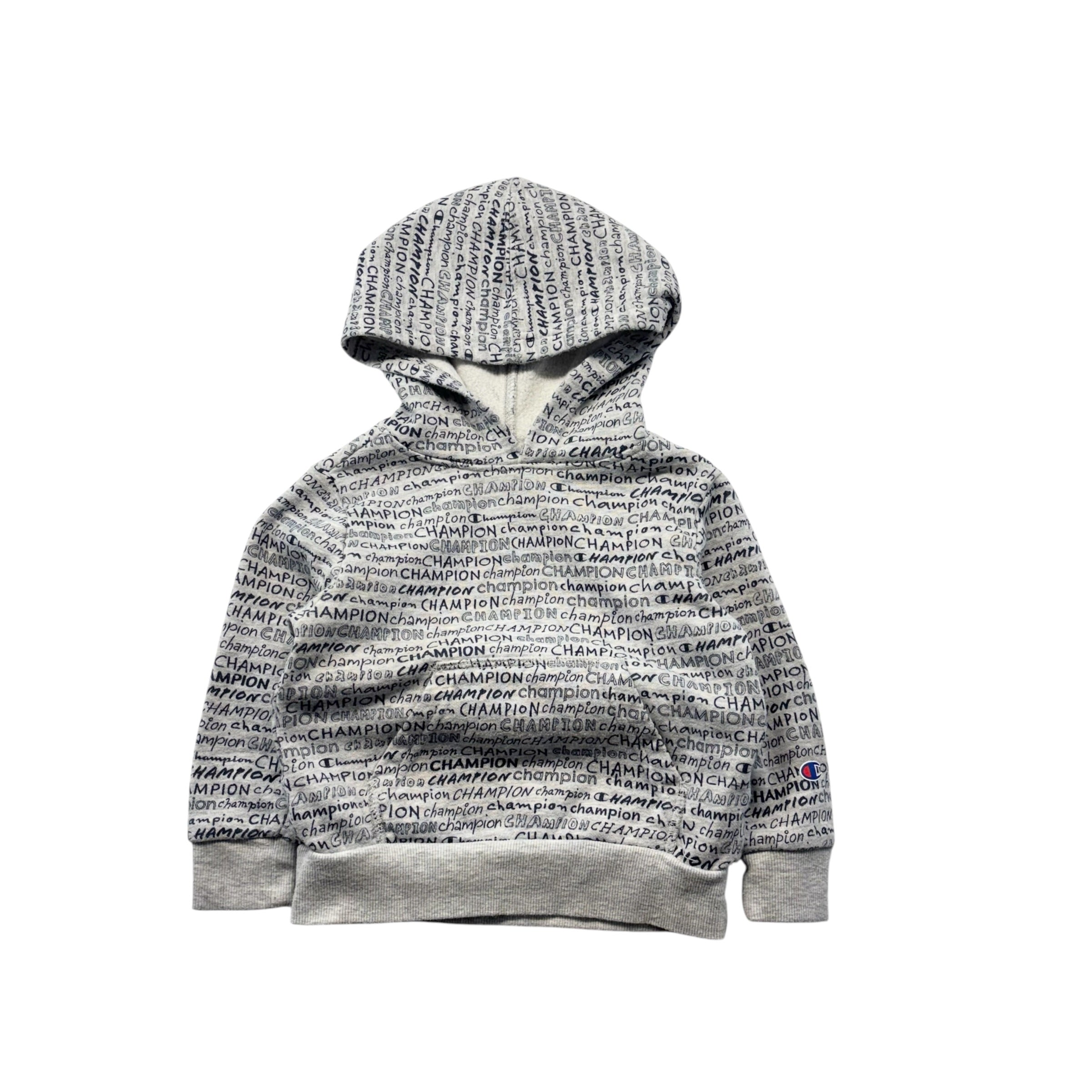 Champion Grey & Navy Hoodie (24m)