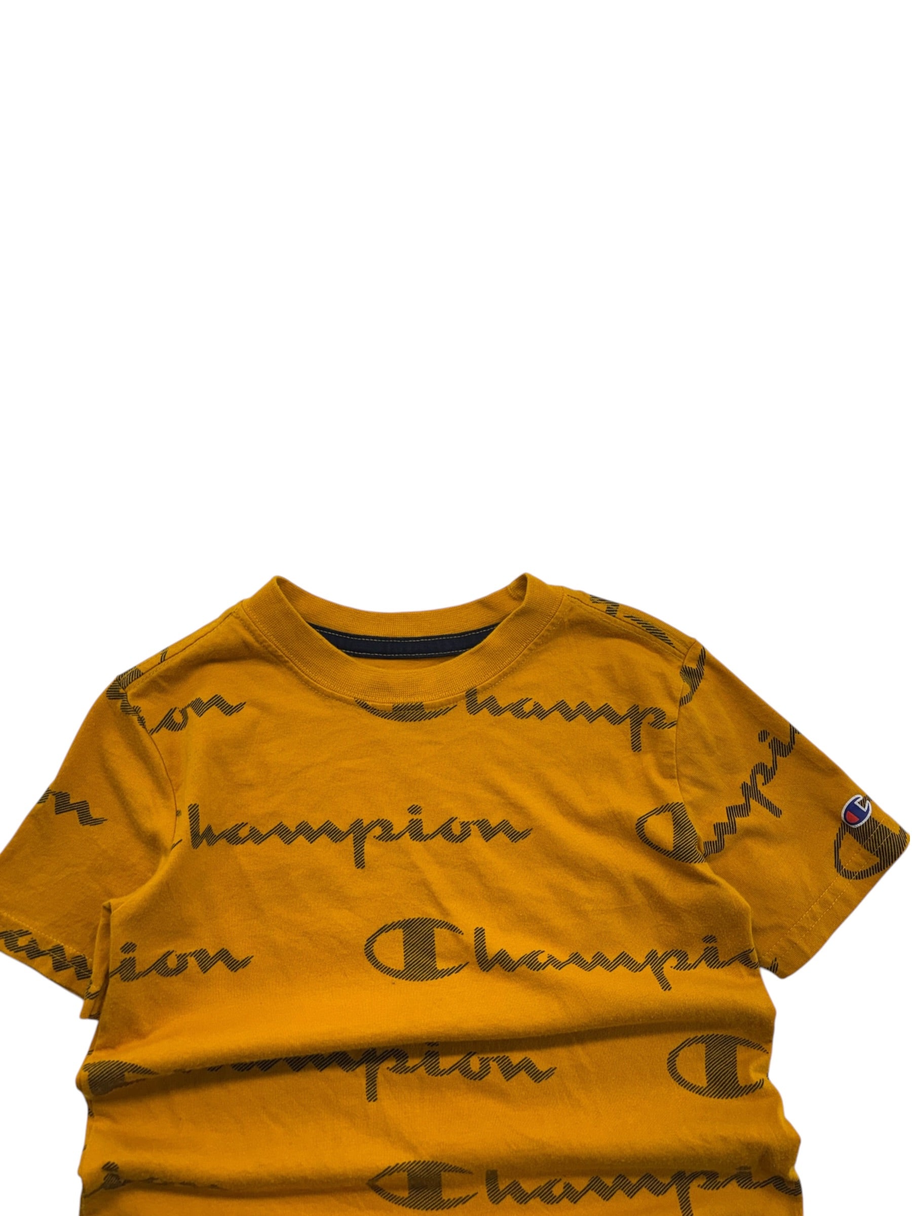 Champion Logo Hoodie (5)