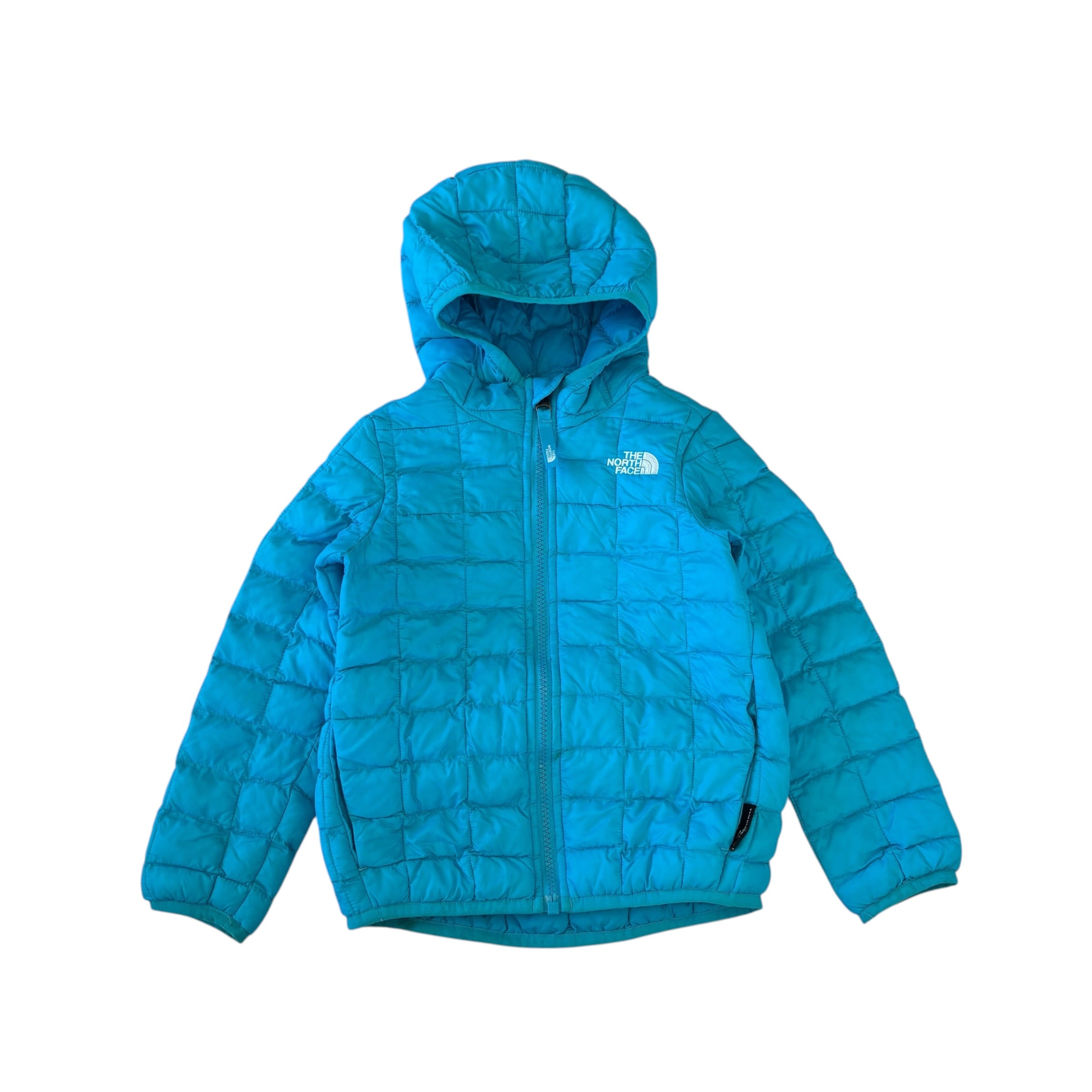 The North Face Puffer Jacket (4T)