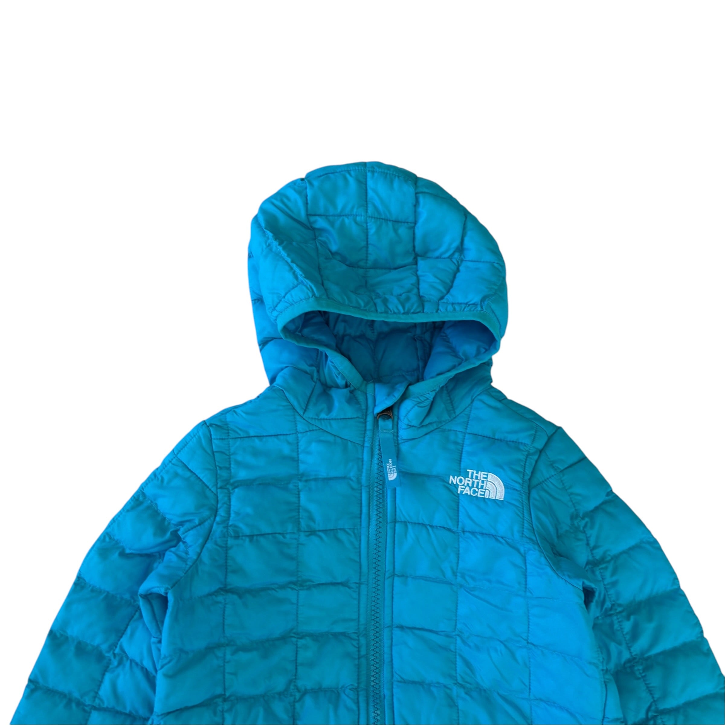 The North Face Puffer Jacket (4T)