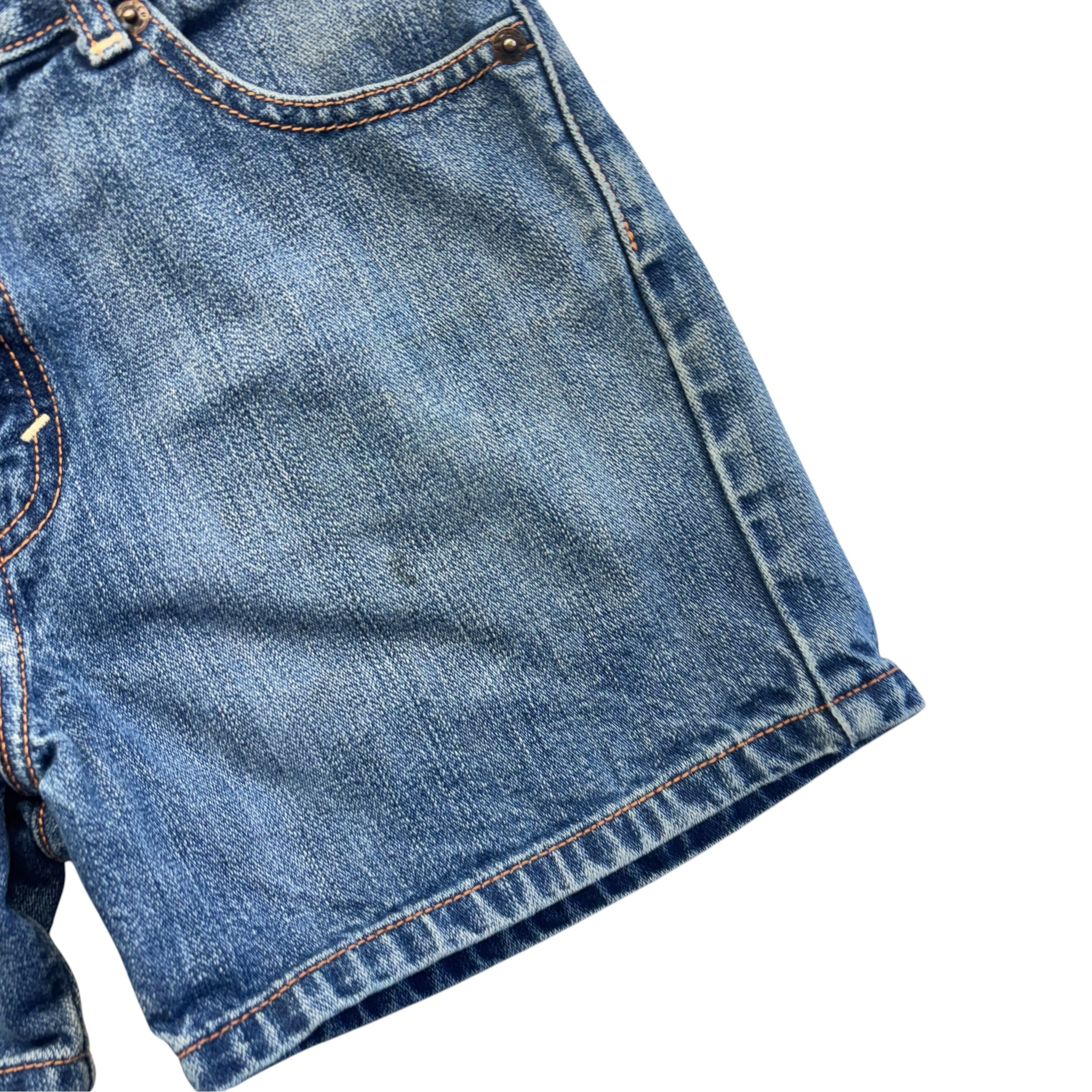 Levis Denim Shorts (12)
