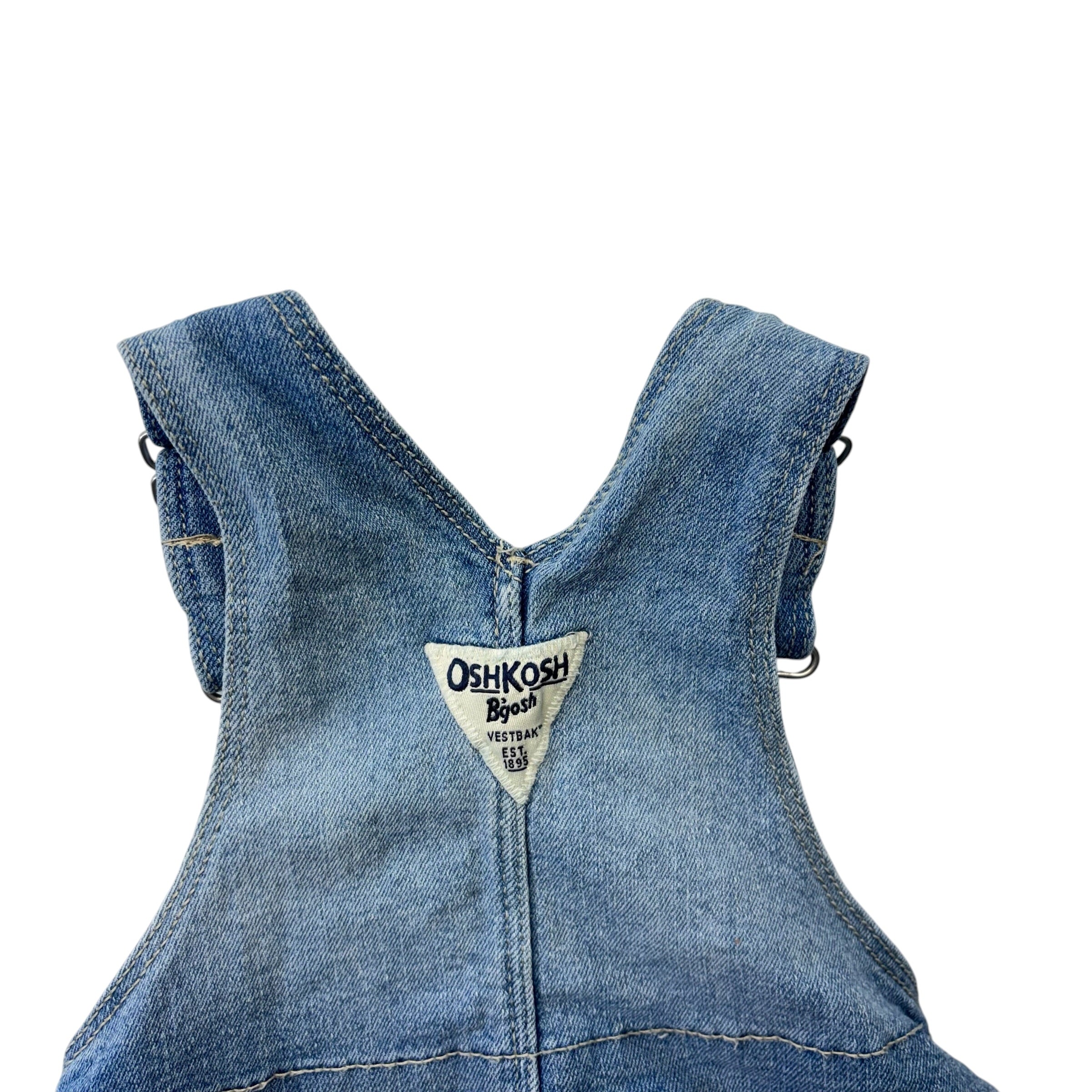 Oshkosh Dress (18m)