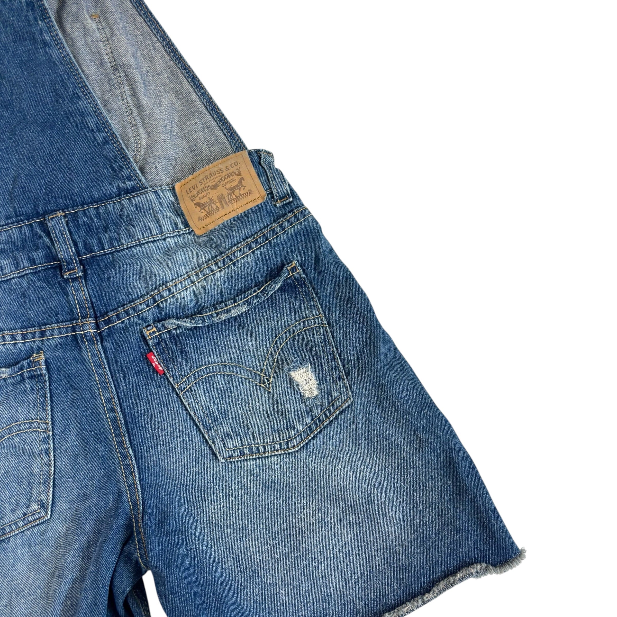 Levis Overalls (10)