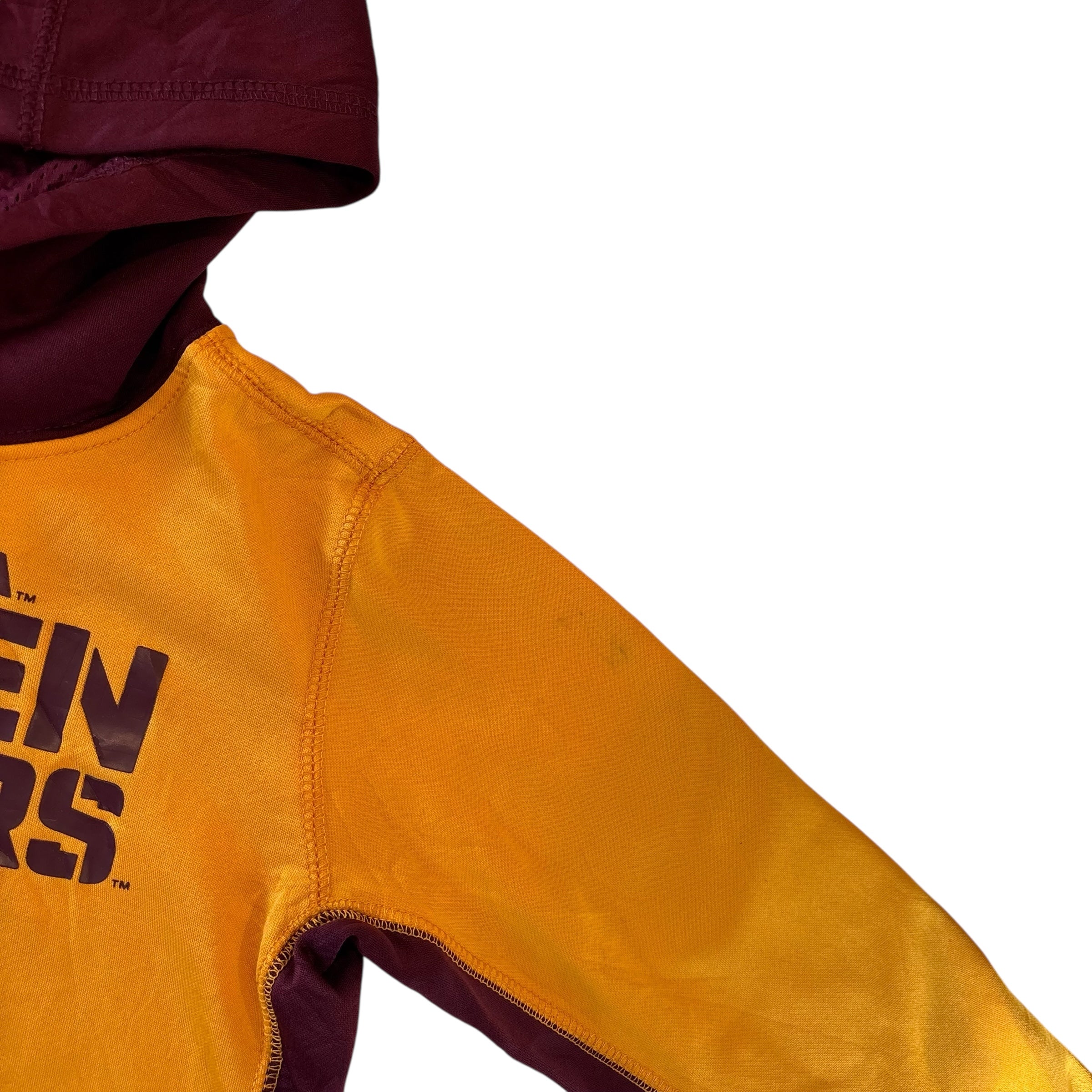 Golden Gophers Hoodie (4)