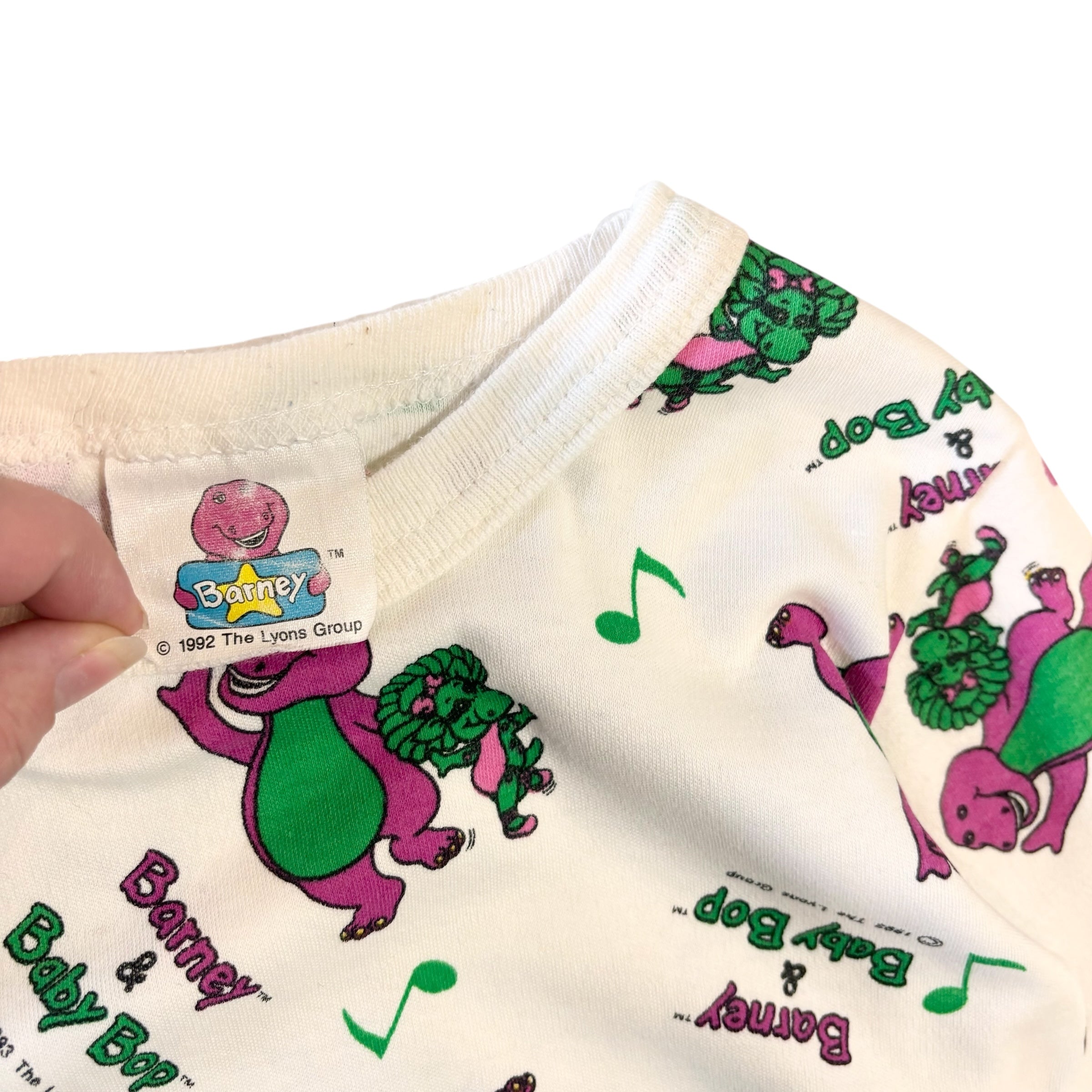 Vintage Barney Long Sleeve AOP (4)
