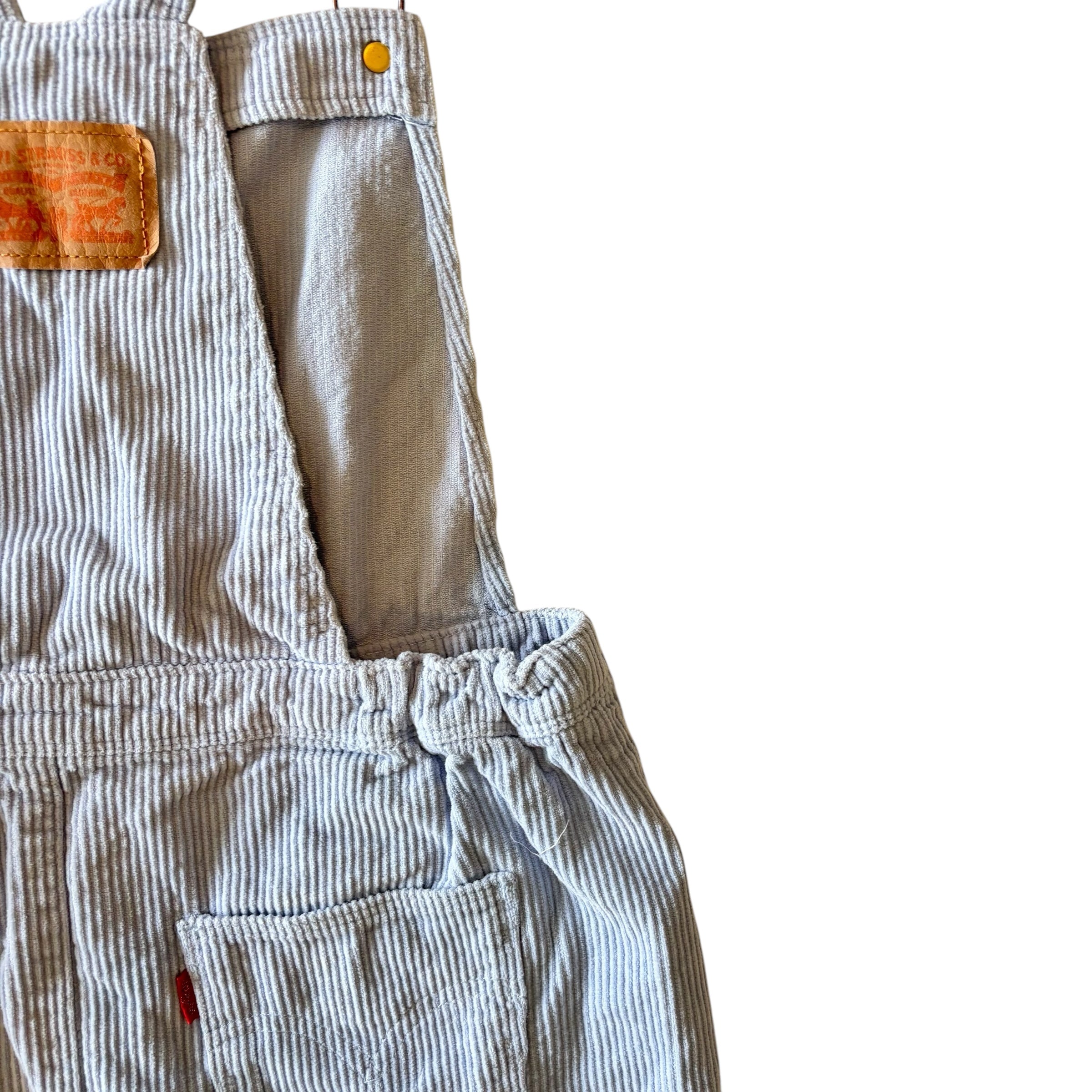 Levis Cord Dress (12)