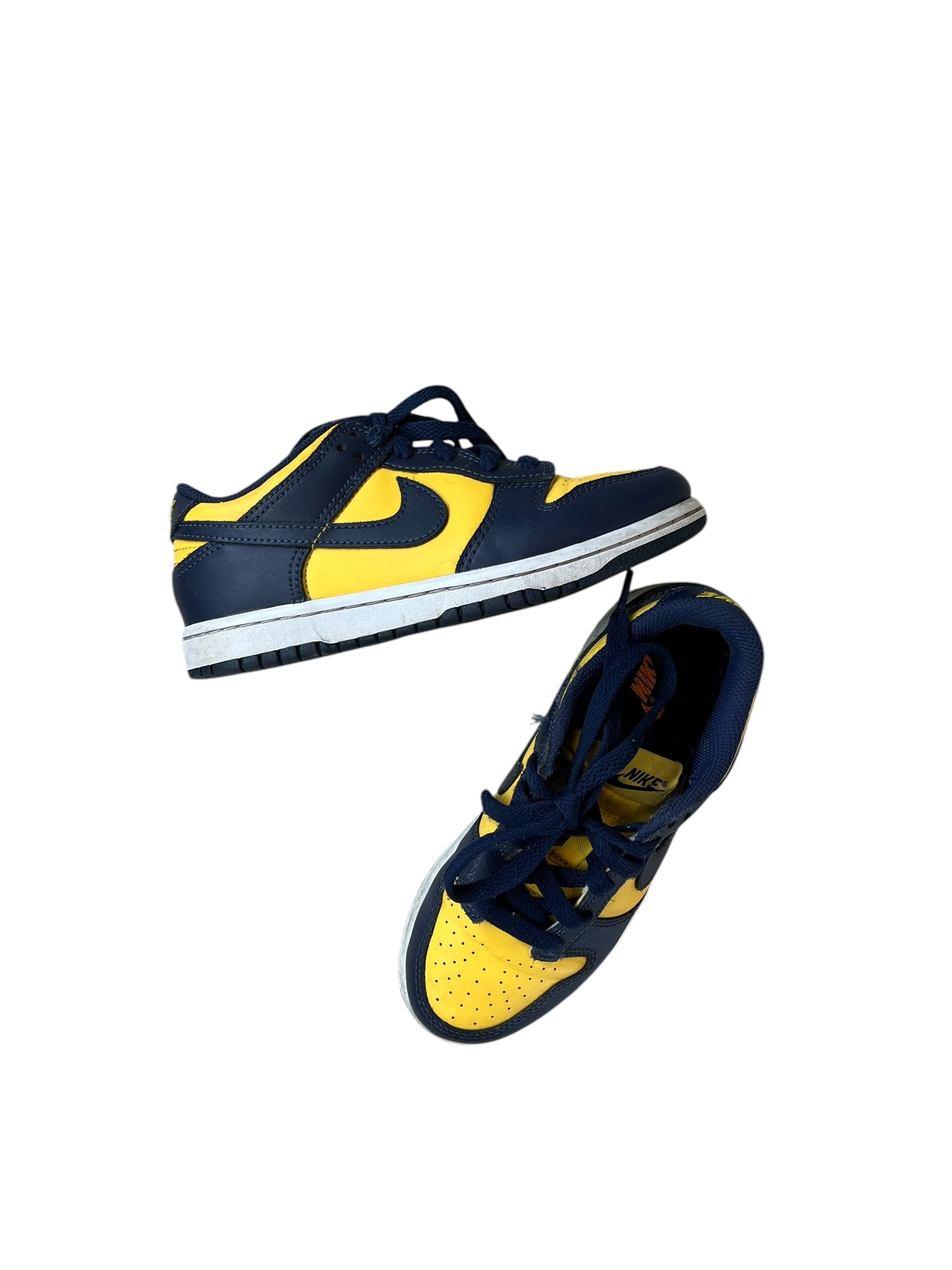 Michigan Dunks