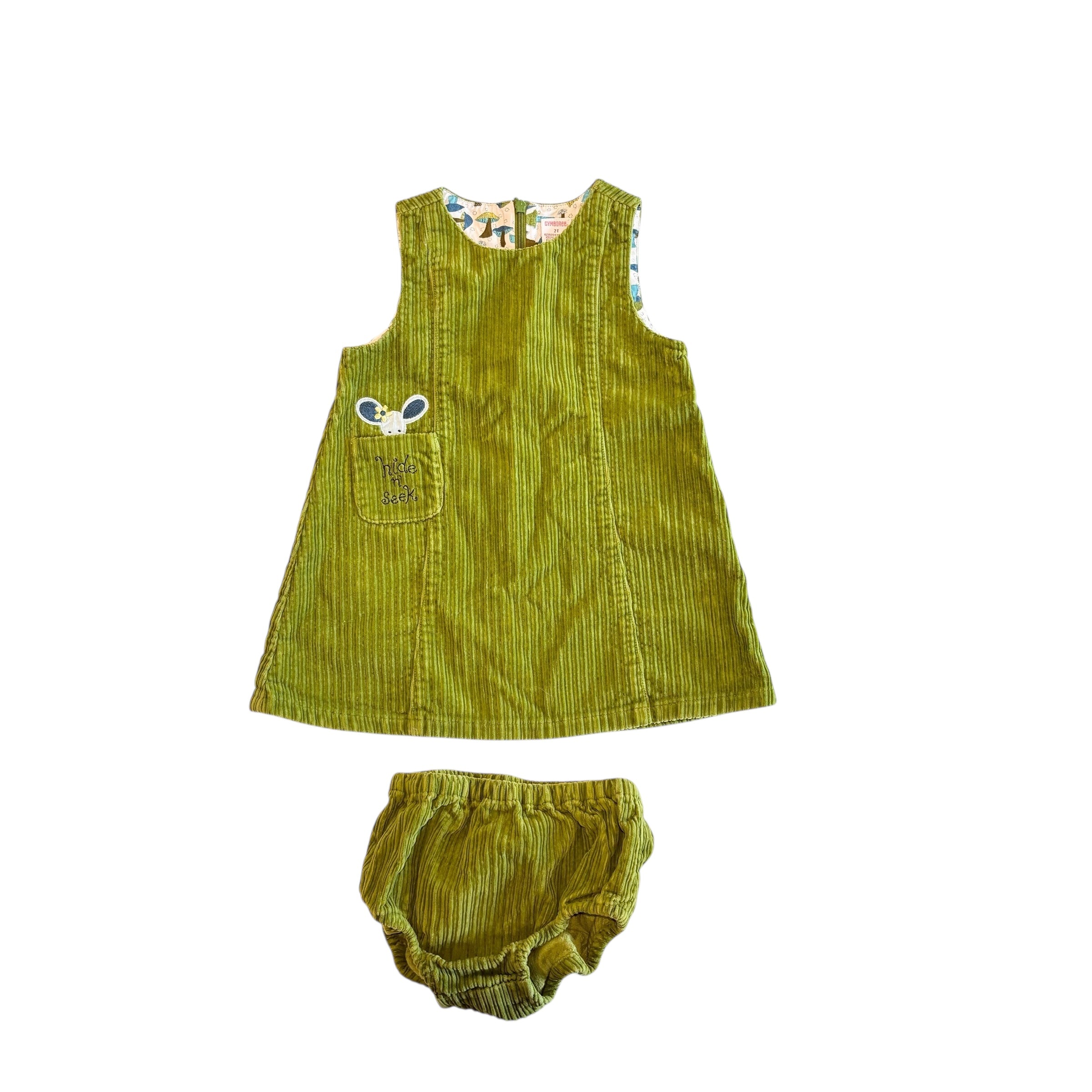 Gymboree Dress & Bloomer (2T)