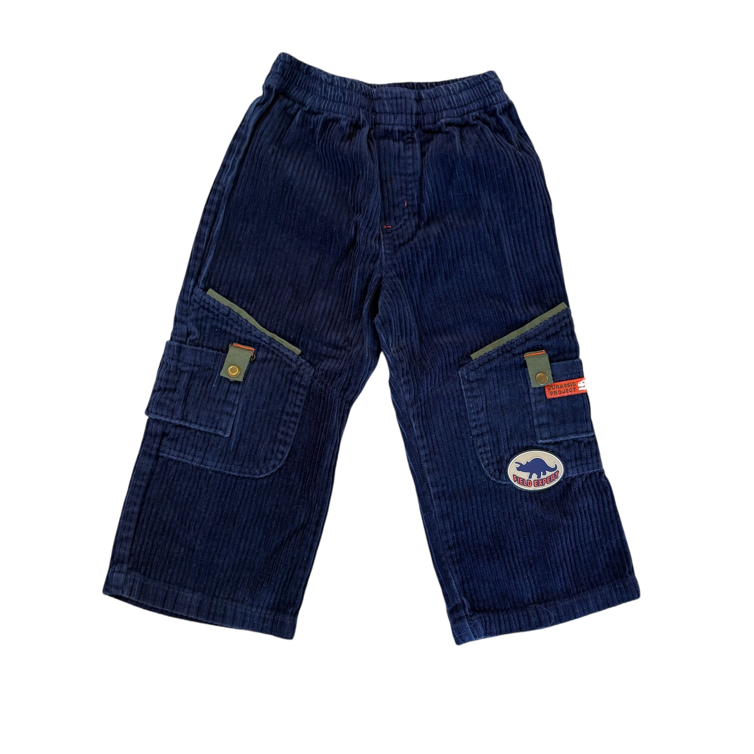 Jurassic Project Cord pants