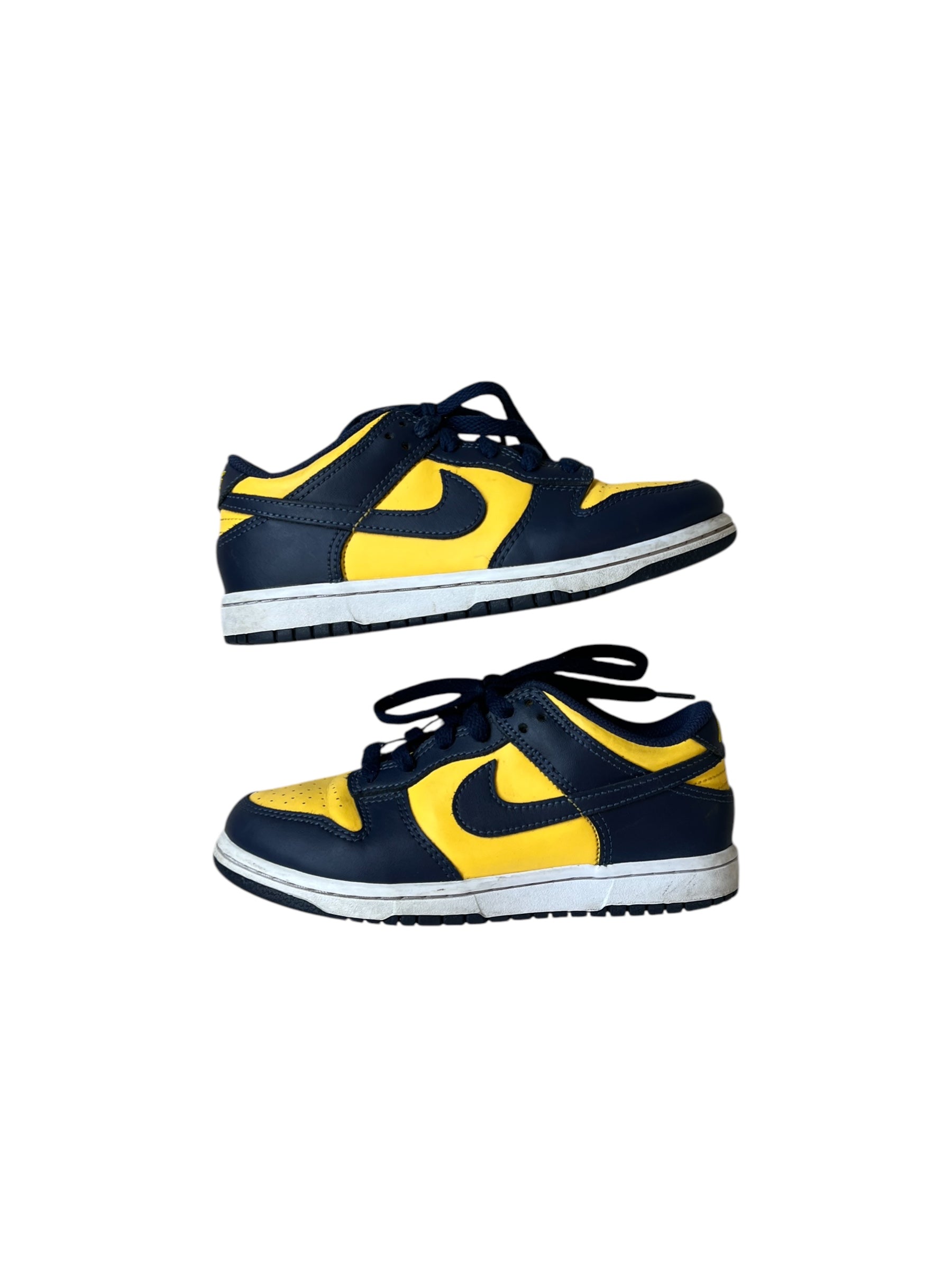 Michigan Dunks